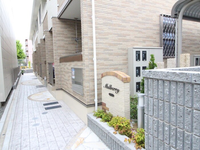 同型モデル マルベリー