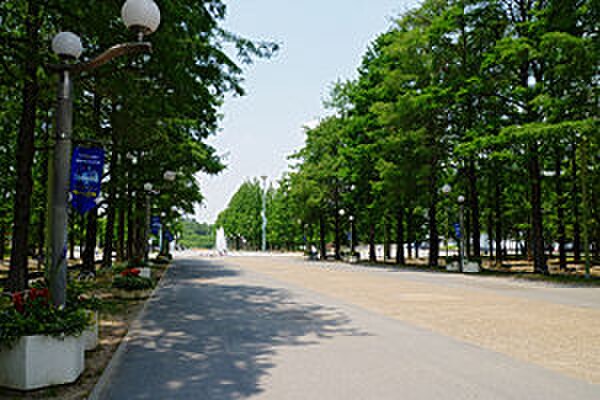 花博記念鶴見緑地(公園)まで1600m ベル・ビュ－横堤