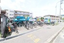 駐輪場 橋本ハイツ