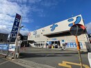 コーナン中環蛍池店(電気量販店/ホームセンター)まで400m クローバー・レジデンス阪大前