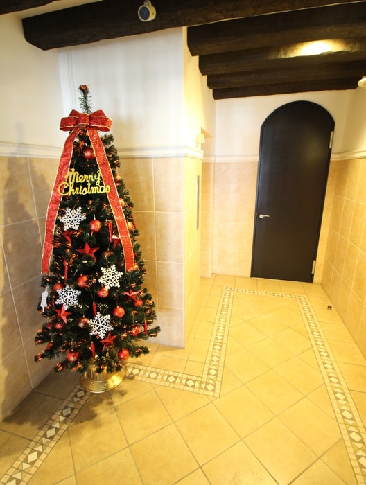 エントランス部分 Ｃａｓａ　Ｌａ　Ｆｕｅｎｔｅ