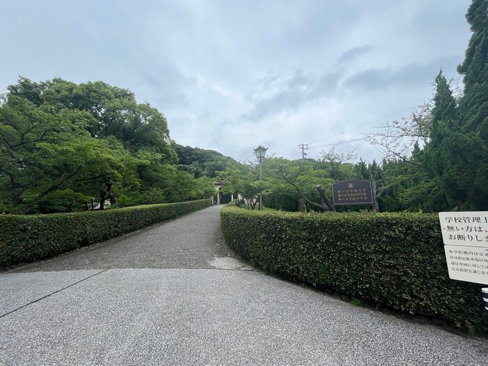 神戸女学院(大学/短大/専門学校)まで165m 丸橋ハイム