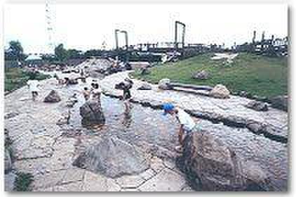 弁天池公園(公園)まで250m ルミネノヴァ菊田