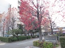 西宮市立中央病院(病院)まで455m べヌスタ西宮