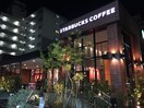 ｽﾀｰﾊﾞｯｸｽｺｰﾋｰ豊中緑地公園(カフェ)まで270m セイントヒル緑地