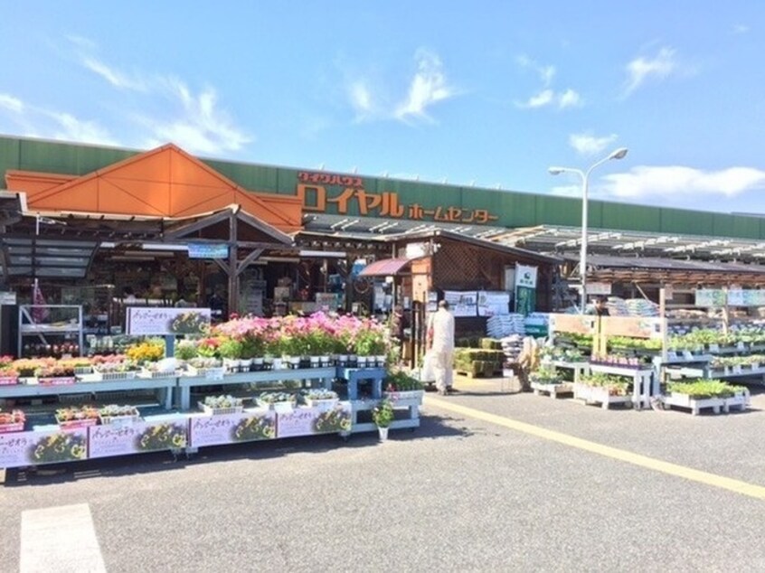 ロイヤルホームセンター 西宮店(電気量販店/ホームセンター)まで650m ヒルズ夙川(406)