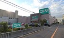 ニトリ堺大仙店(電気量販店/ホームセンター)まで1400m OrientCity・S