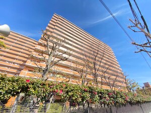 ﾗｲｵﾝｽﾞﾏﾝｼｮﾝ若江東弐番館(904)