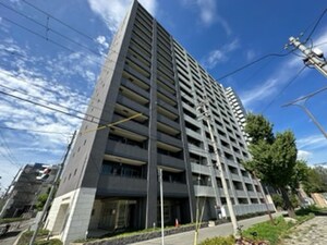 ｾﾚｯｿｺｰﾄﾘﾊﾞｰｻｲﾄﾞOSAKA(307)