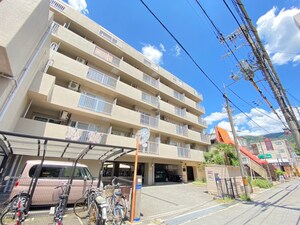 コスモス瓢箪山