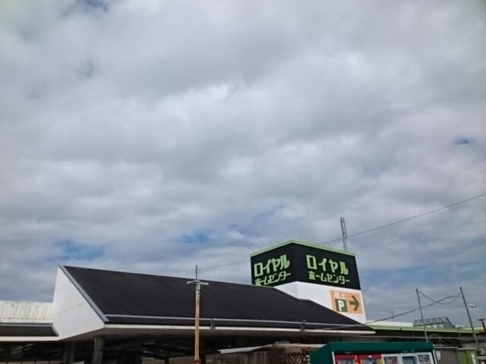 ロイヤルホームセンター(電気量販店/ホームセンター)まで1450m カルム　オ－ブ