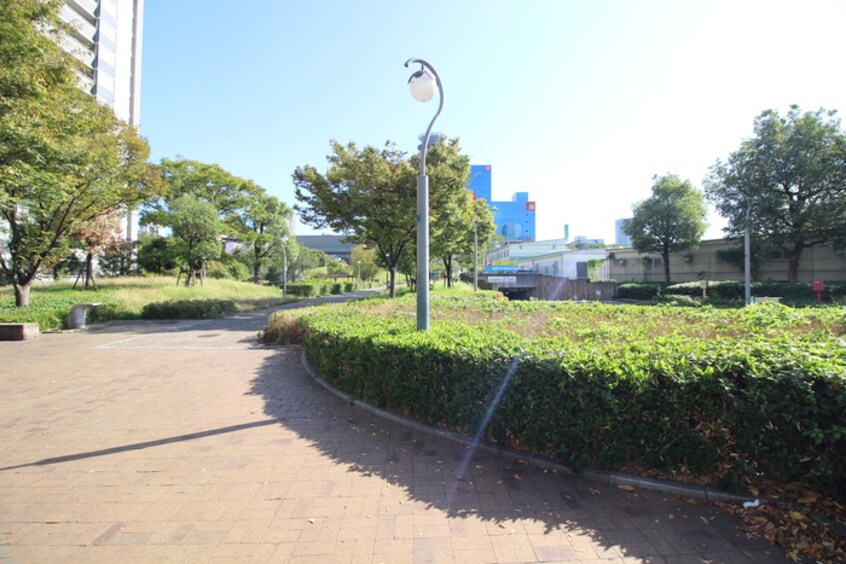 扇町公園(公園)まで505m コ－ポ君影