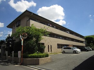 ヴェルドミール