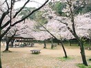 須磨寺公園(公園)まで45m フルール須磨離宮