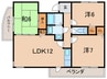 ラセーヌ Ⅱ 3LDKの間取り