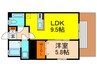 プレジールHATTORI 1LDKの間取り