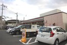 セブンイレブン(コンビニ)まで1100m パストラルＫＩＤＡ