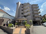 MNS天ヶ池