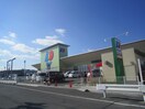 ディオ大東店(スーパー)まで1200m グリーンコートKAWADA