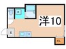 カリーナアモーレ 1Rの間取り