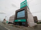 ニトリ 寝屋川店(電気量販店/ホームセンター)まで470m リジェール