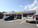 ミニストップ八王寺１丁目店(コンビニ)まで810m ﾌｼﾞﾊﾟﾚｽ石橋Ⅱ番館　