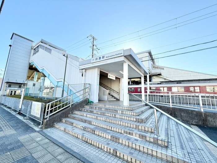 その他 サイプレス宇治