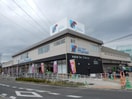 万代(スーパー)まで310m サイプレス宇治