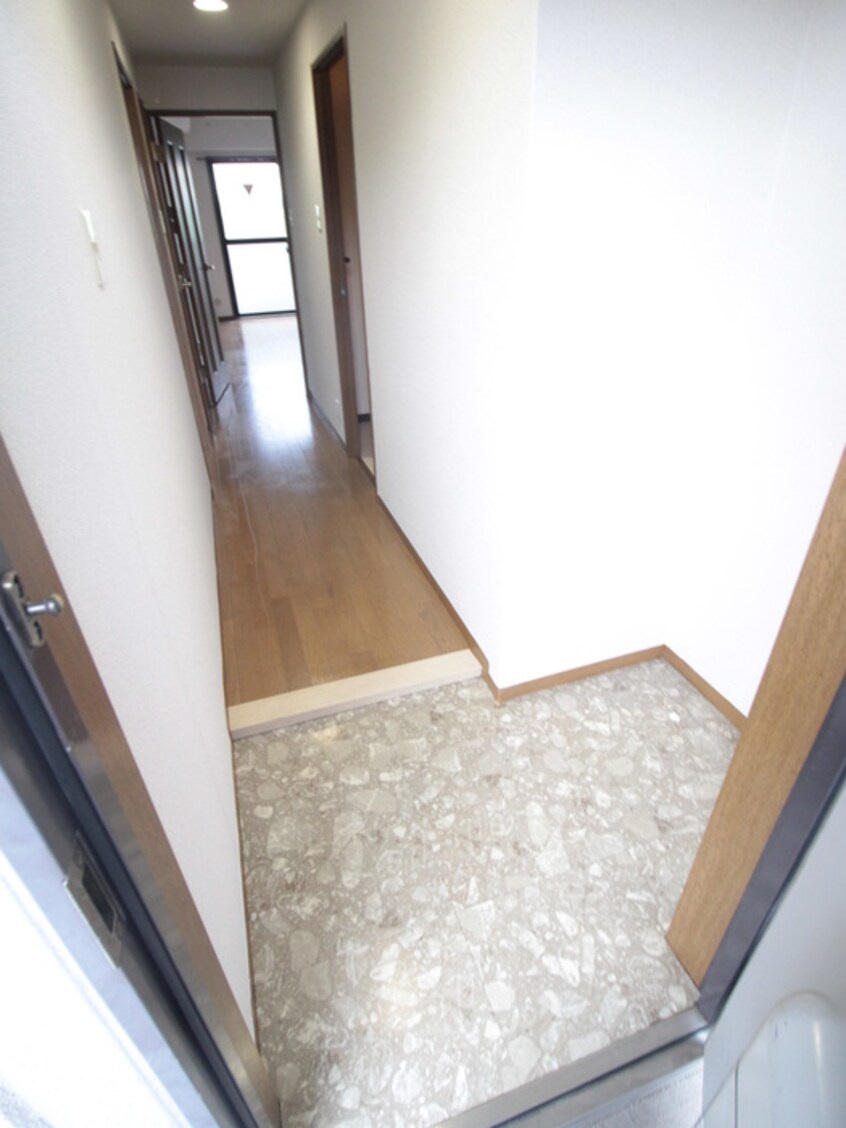 玄関 ミレニアム