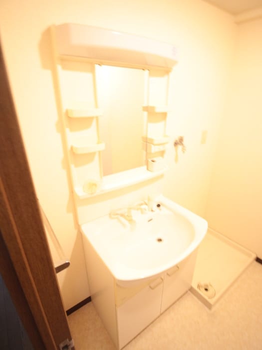 洗面 ミレニアム