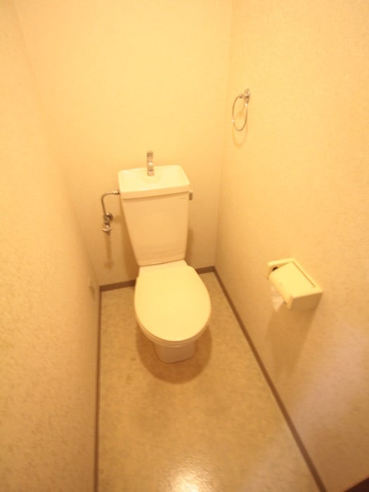 トイレ ミレニアム