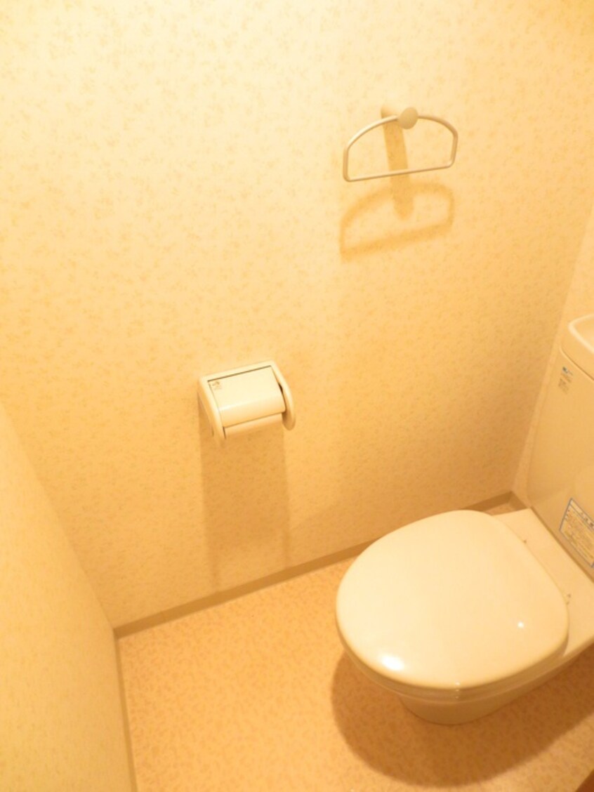 トイレ SHICATA SIX BLDG(501)