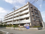 ハイエスト・桂