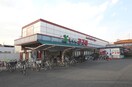 食品館アプロ(スーパー)まで1000m 河合　貸戸建