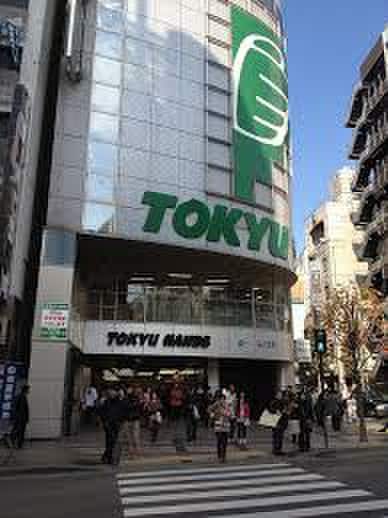 東急ハンズ(ショッピングセンター/アウトレットモール)まで400m エル　中山手