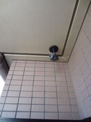 その他 ドゥエル西院