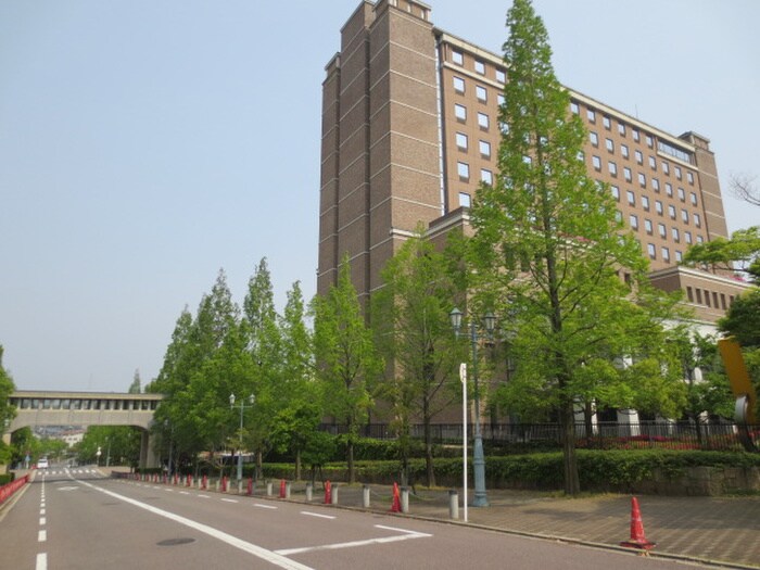 桃山学院大学(大学/短大/専門学校)まで750m グリーンエクセル