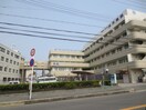 咲花病院(病院)まで1400m グリーンエクセル