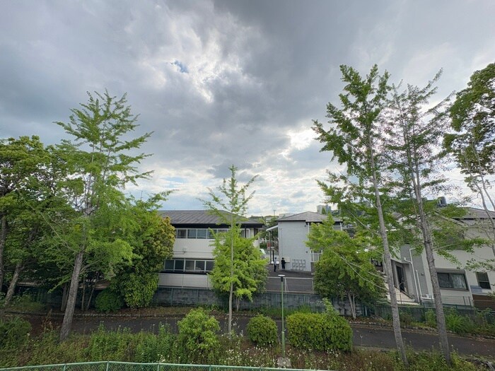 室内からの展望 カシータ