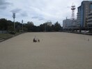 中央公園(公園)まで700m ハイツ春日野