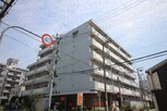 シャンティマサノ