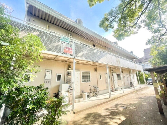 その他 エバ－グリ－ン楠ノ木