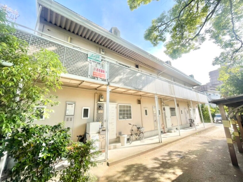 その他 エバ－グリ－ン楠ノ木