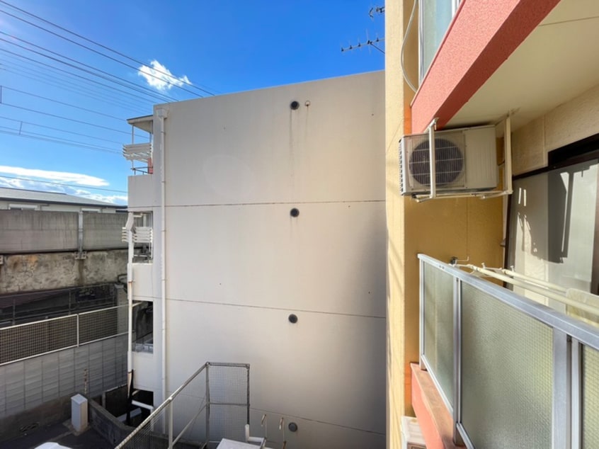 室内からの展望 ＰＩＮＥ　ＴＲＥＥ