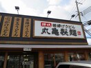 丸亀製麺(その他飲食（ファミレスなど）)まで800m ハイマート舞子坂(204)