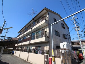 サンシャインアマミ