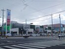 しまむら(ショッピングセンター/アウトレットモール)まで550m エンジェル坂下