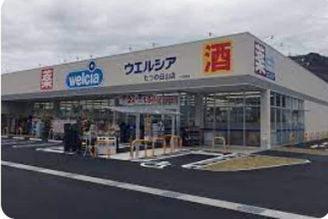 ウェルシア(スーパー)まで1000m LIVIAZ KOBE CREST(203)