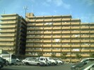 ﾗｲｵﾝｽﾞﾏﾝｼｮﾝ和泉上町(305)の外観