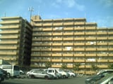 ﾗｲｵﾝｽﾞﾏﾝｼｮﾝ和泉上町(305)